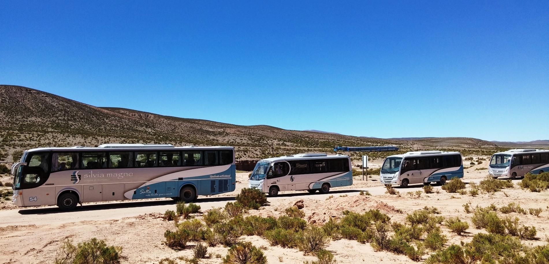 Tren de las Nubes - Excursiones en Salta